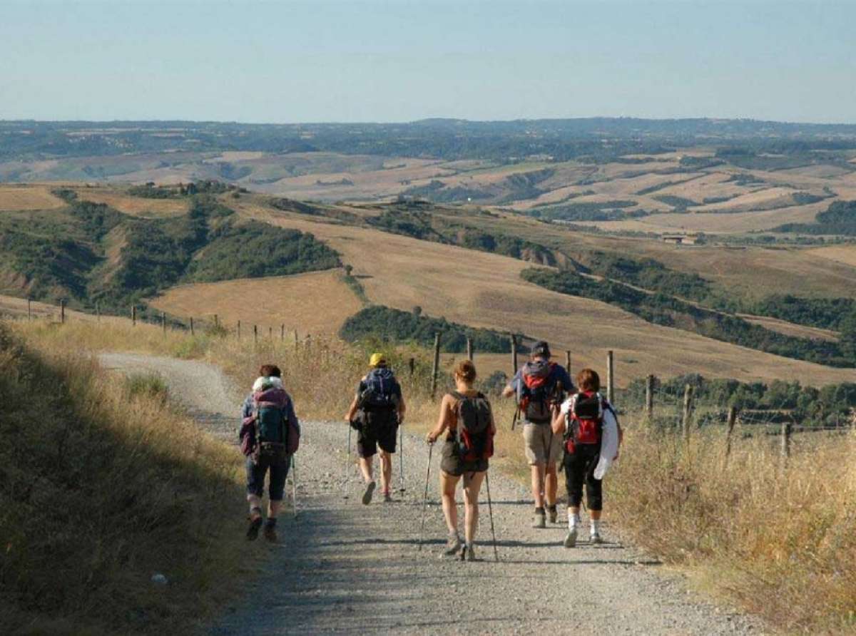 Cammino Estate 2021: via Francigena