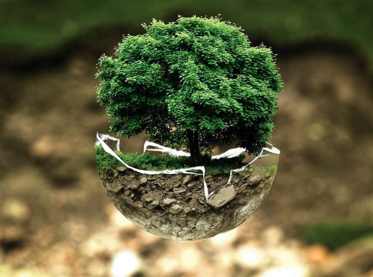 Per un'ecologia dell'amore