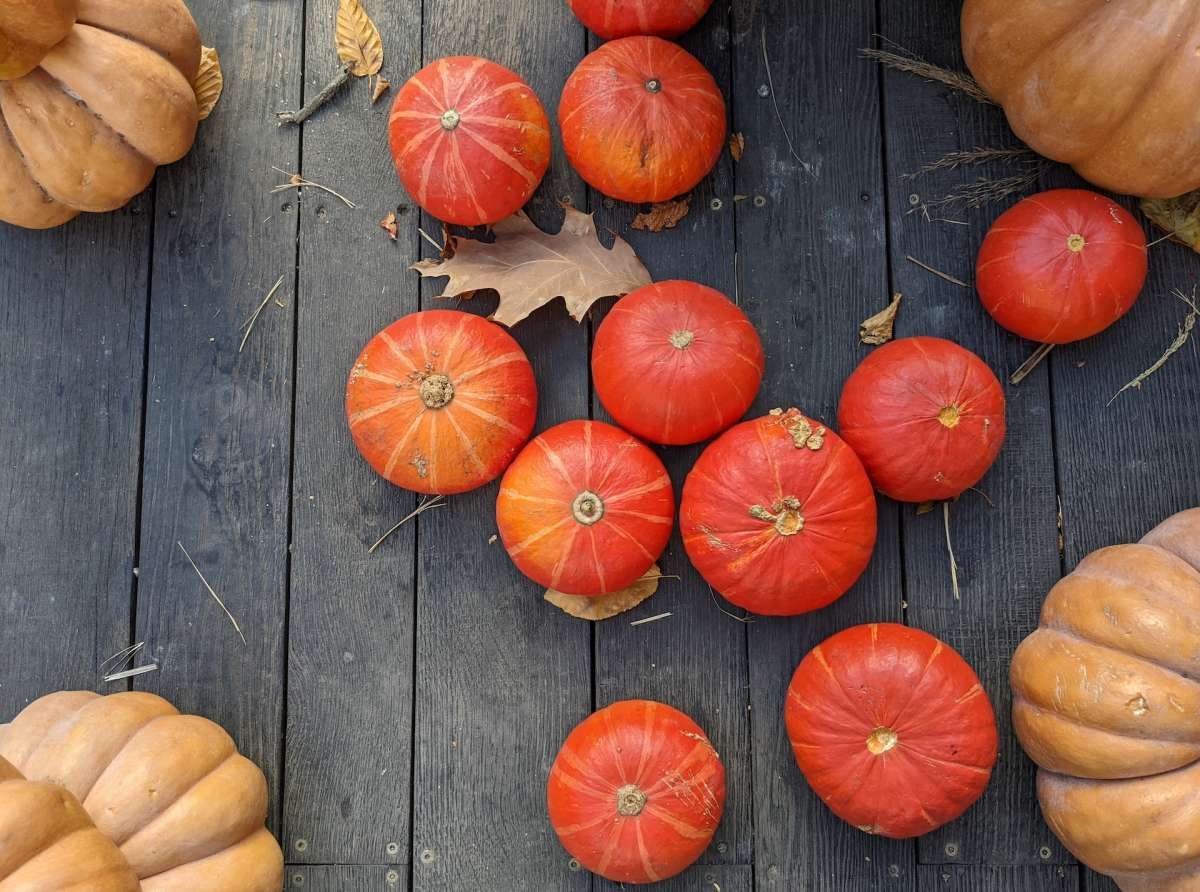 Festa d'Autunno
