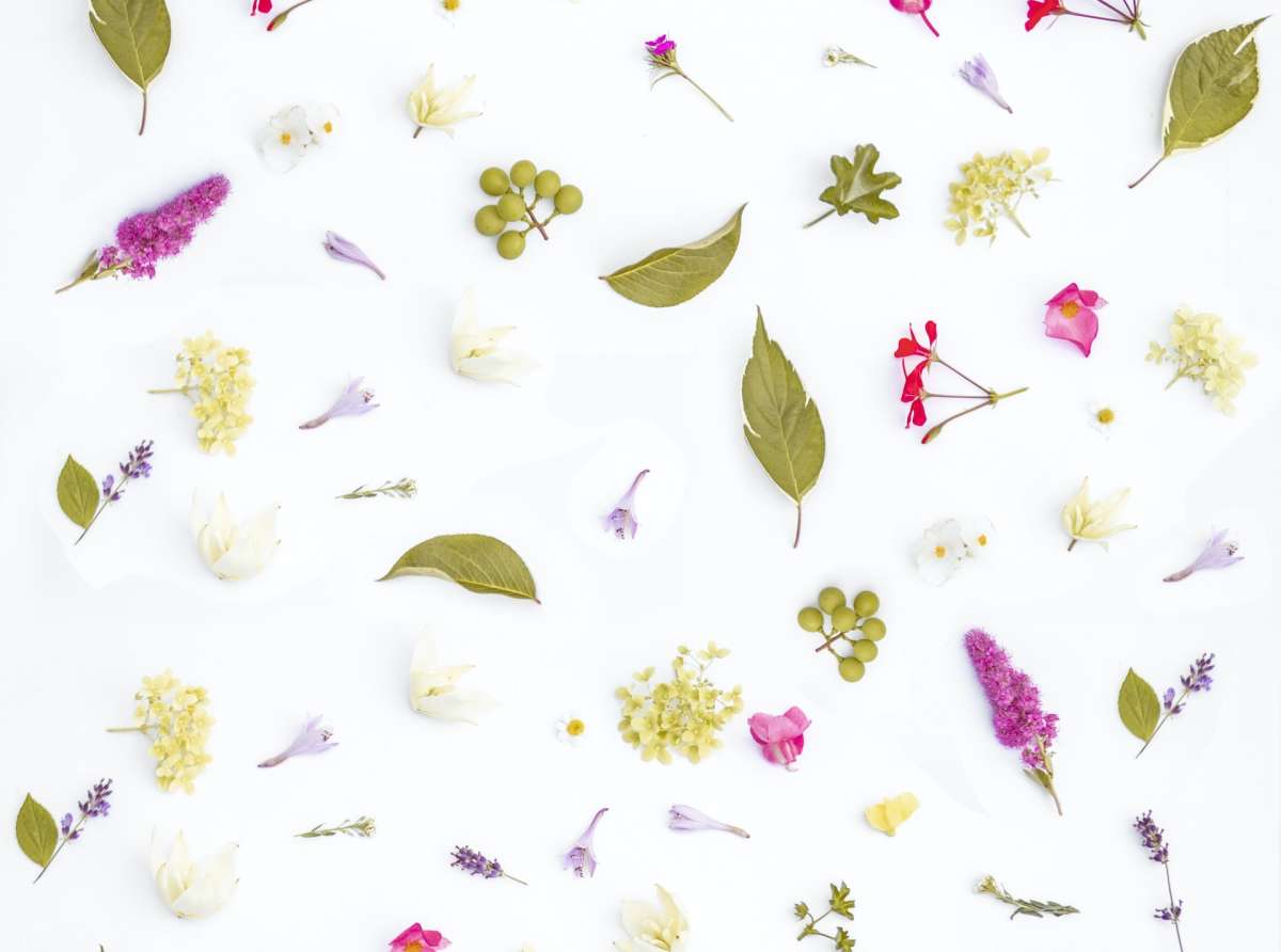 Apericena di Primavera