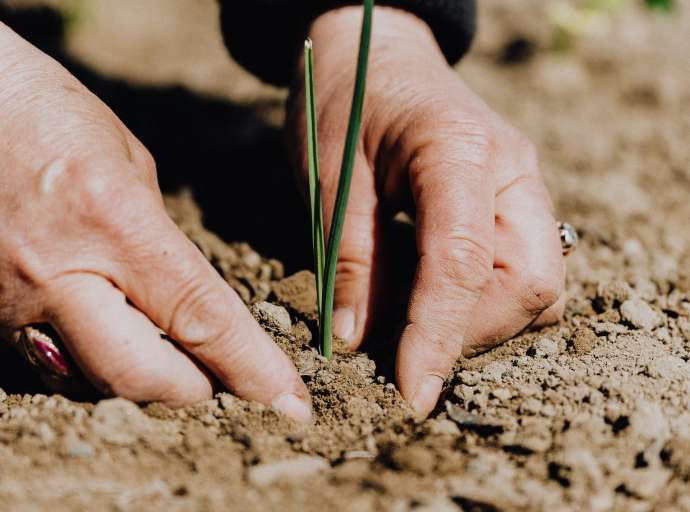 «La fede accoglie la vita come dono e vive la libertà come risposta alla chiamata di Dio»