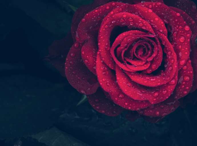 Festa di Santa Rita - Masnago - 22 Maggio