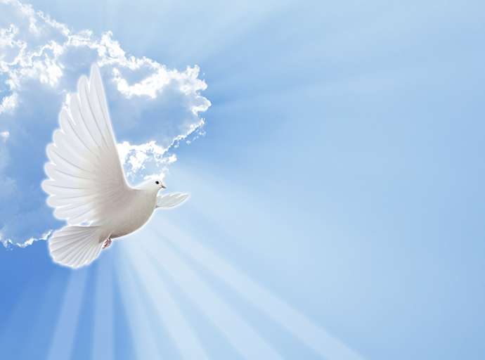 CREDO NELLO SPIRITO SANTO CHE E’ SIGNORE E DA’ LA VITA