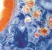 La vita di coppia: palestra di vita e di santità